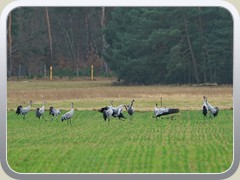 Es herrschte nicht nur Harmonie, manchmal gab es auch Streitereien.