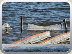 Am Anglerverein P�tzer Vordersee.