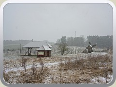 28.3.: Der Winter gibt sich noch nicht geschlagen, hier am M�hlen-/Weinberg.