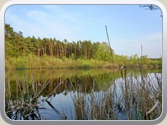 Blick auf den Sutschke-See.