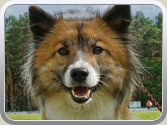 Bestenseer Gesichter