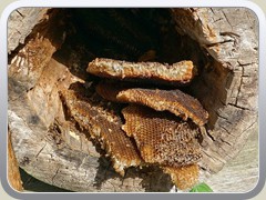 18-09-09_01627a