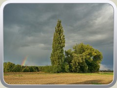 Der Ansatz eines Regenbogens auf dem Ptzer Plan.