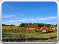 Am M�hlen-/Weinberg.