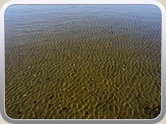 Klar ist das sich im Wind kruselnde Wasser des Ptzer Vordersees.