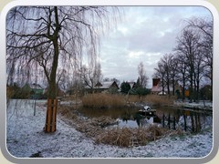 18.1.: ber Nacht hatte es etwas geschneit, hier am Bestenseer Dorfteich.