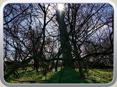 19-03-20_04109a