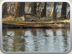 19-03-20_04130a
