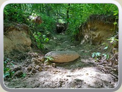 11.7.: Durch Starkregen ausgesp�lter Hang.