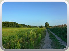 Der Mittenwalder Weg f�hrt �ber Wiesen nach Klein Besten ins s�dliche Bestensee.
