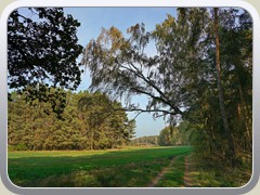 Weg entlang der Liepe.