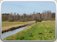 20-03-15_04865a