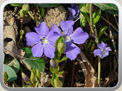 20-03-16_05007a