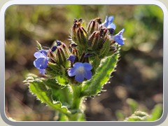 20-04-26_20200426_182112a