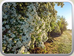 20-05-12_07448a
