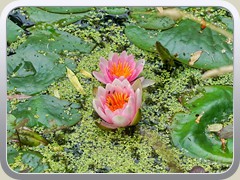 20-06-21_08977aa