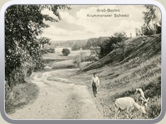 Postkarte von 19291929_Krummenseer Schweiz_Sutschke