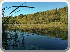 Kleiner See im Sutschketal