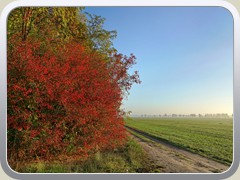 Am Gr�bendorfer Weg.