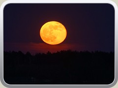 21-04-27_08549a