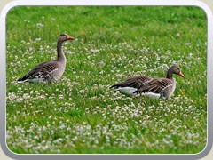 21-05-05_08751a