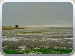 21-05-07_08898a