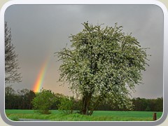 21-05-07_09022a