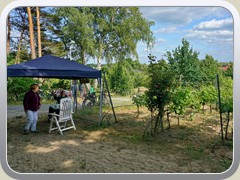 Der Eingang zum Weinberg mit Kontrolle und Angabe der Kontaktadresse.