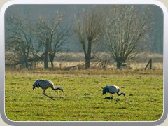 22-02-02_00472a_