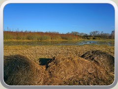 22-03-12_01777a