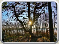 22-03-12_01832a