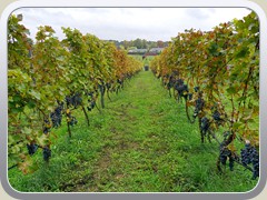 22-10-01_04920a