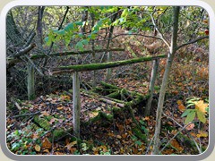 Verfallende Holzbr�cke am Wegesrand