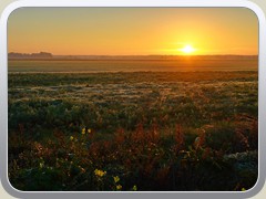6.11.: Blick �ber den P�tzer Plan