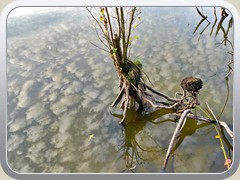 22-11-08_01201a