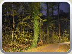 Auf dem Nachhauseweg