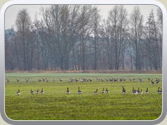 22-12-25_04781a