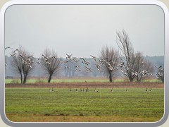 22-12-25_04792a