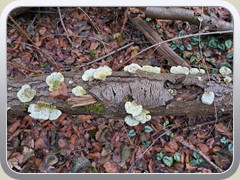 23-01-01_05308a