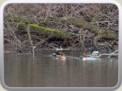 23-01-03_05587a