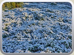 23-01-19_06400a