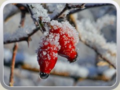 23-01-19_06439a