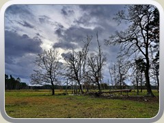 23-02-02_06653a