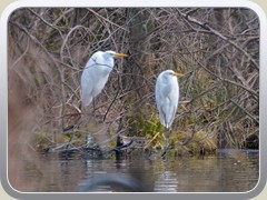 23-02-02_06679a