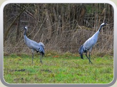 23-02-02_06715a