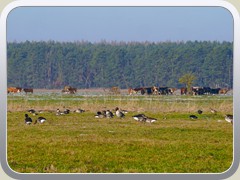 23-02-07_07302a