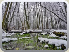 23-03-09_09244a