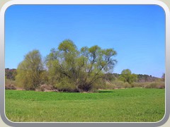 Sdlicher Teil des Sutschke-Tals