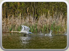 23-05-01_05396a