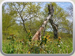 23-05-05_05797a